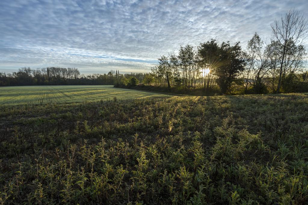 Bed And Breakfast Sile E Natura Sant'Elena di Silea Exterior foto