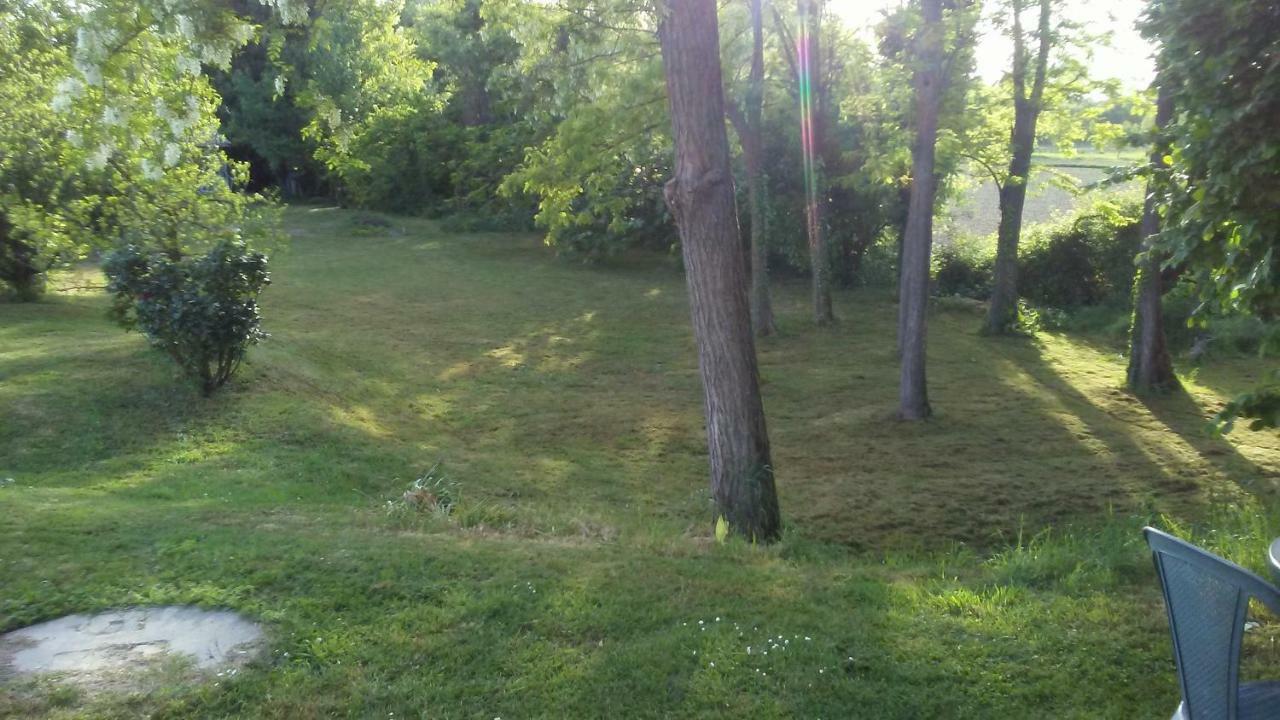 Bed And Breakfast Sile E Natura Sant'Elena di Silea Exterior foto