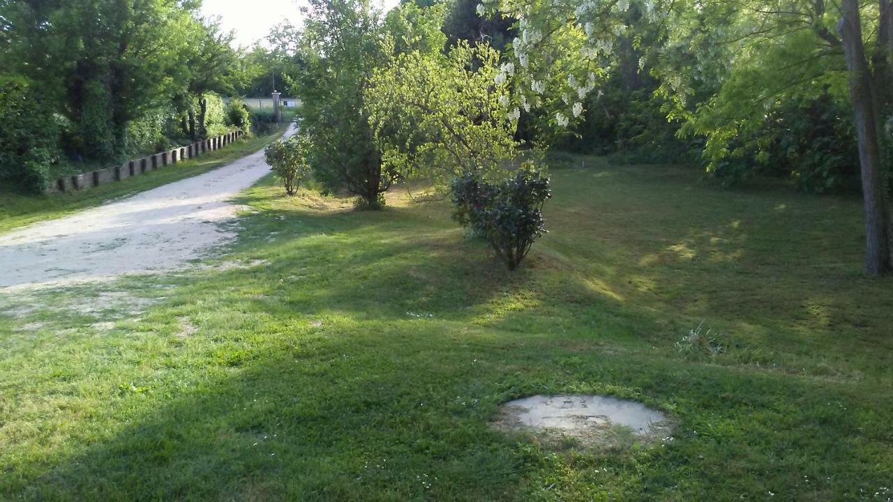 Bed And Breakfast Sile E Natura Sant'Elena di Silea Exterior foto